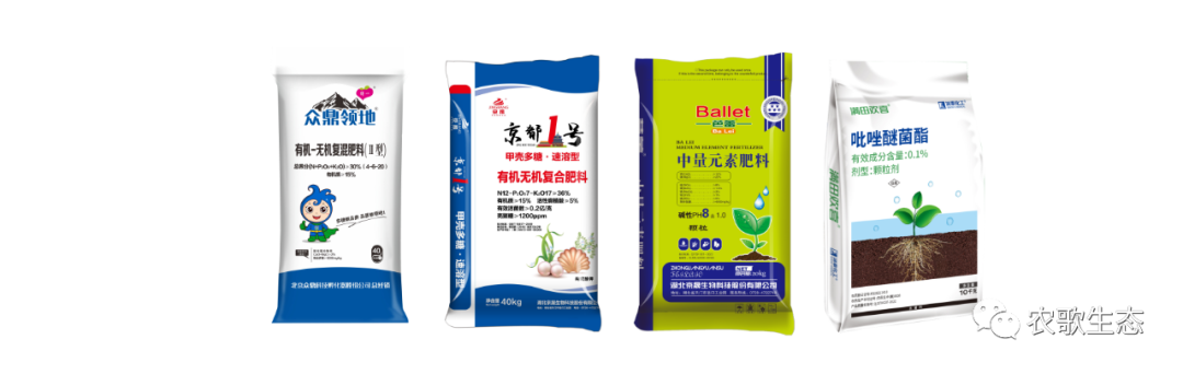 南方生姜种植技术视频教程_生姜南方种植技术视频_南方生姜种植技术
