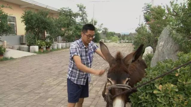 央视致富经养驴视频_养驴视频讲座_养驴视频致富经