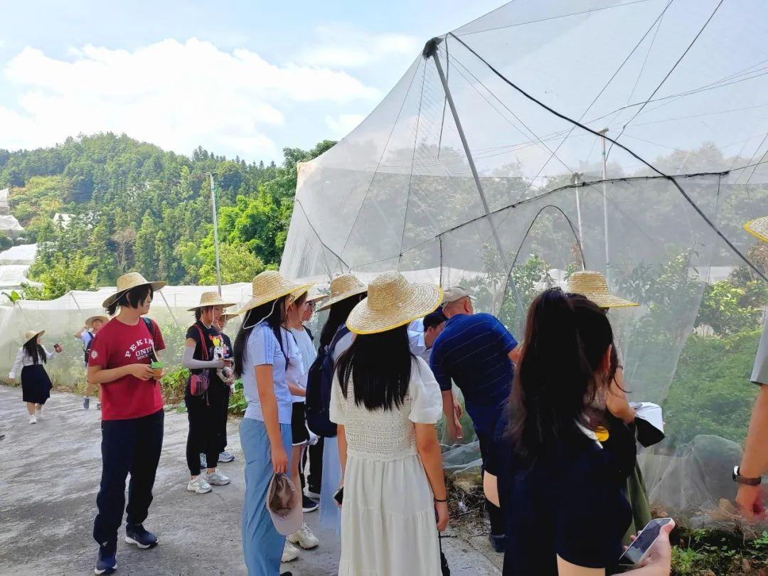 山药种植新方法_山药科学种植法_关于山药种植技术的书籍