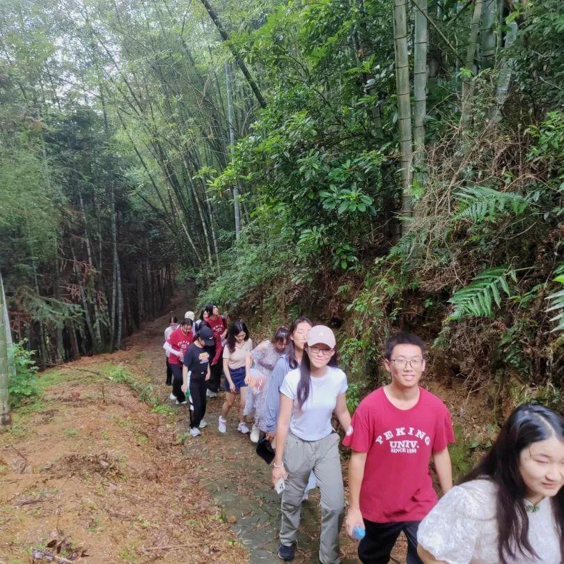 山药科学种植法_山药种植新方法_关于山药种植技术的书籍