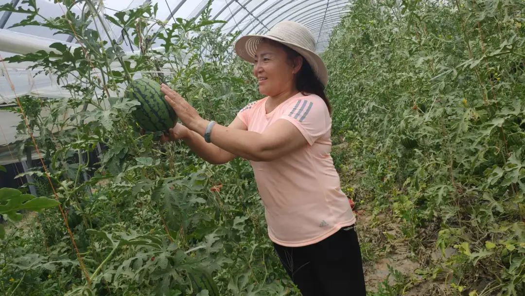 致富蝎子养殖公司简介_蝎子养殖致富公司_致富经蝎子养殖