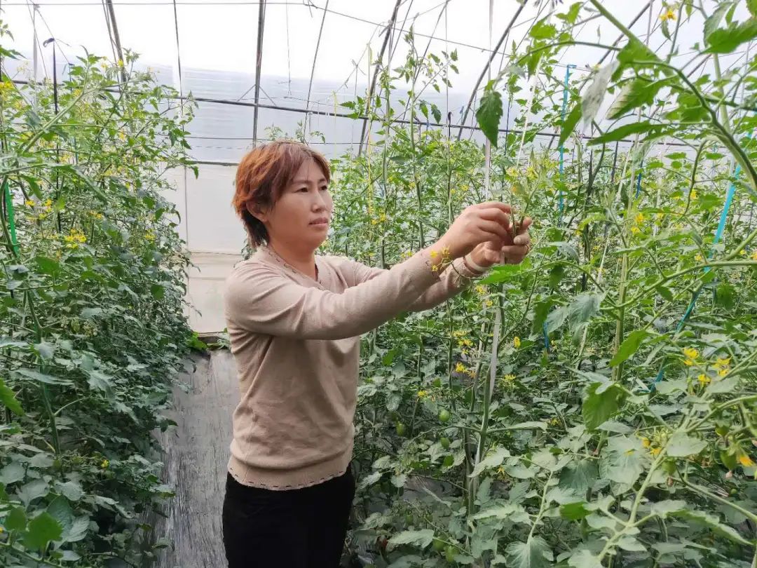 蝎子养殖致富公司_致富经蝎子养殖_致富蝎子养殖公司简介