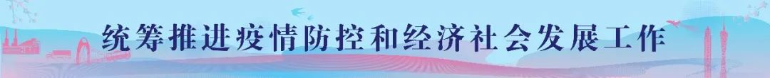 种植石斛利润高吗_致富经石斛种植_种植石斛致富骗局