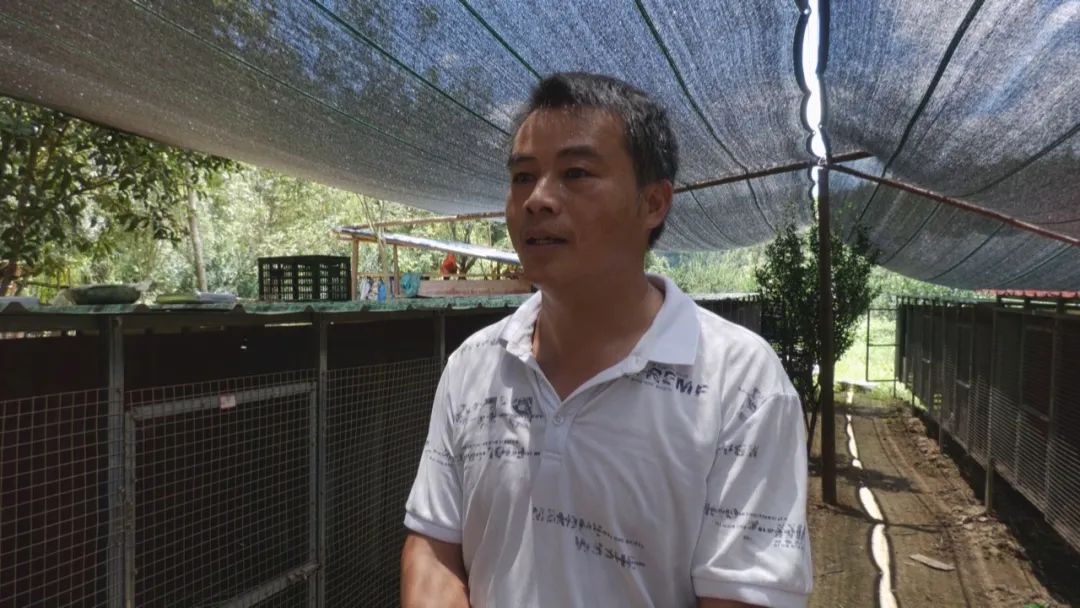 致富养殖增收图片素材_致富养殖好项目大全_养殖增收致富图片