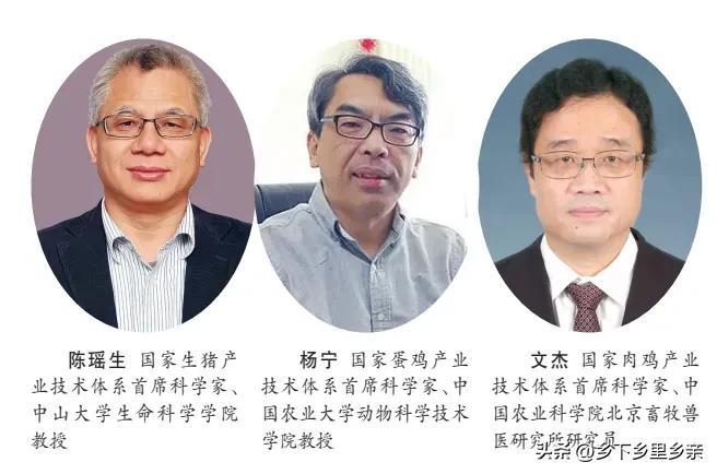 立体养殖技术手段_立体养殖手段技术是什么_立体养殖法