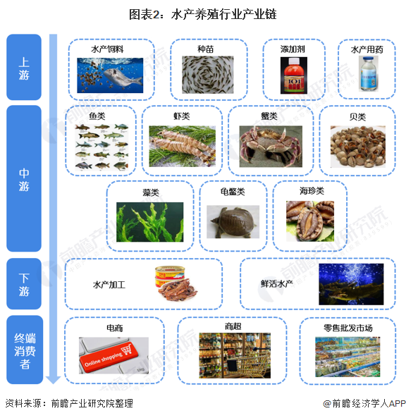图表2：水产养殖行业产业链