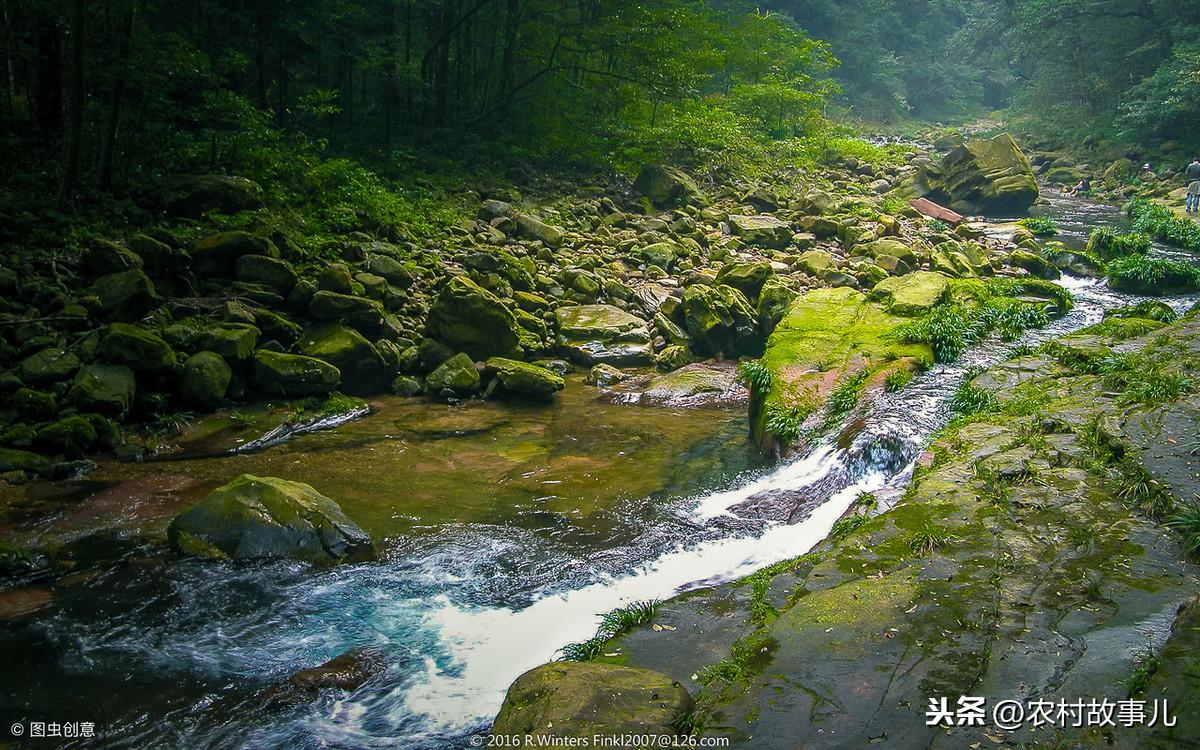 立体养殖技术手段_立体养殖手段技术有哪些_立体养殖手段技术要求