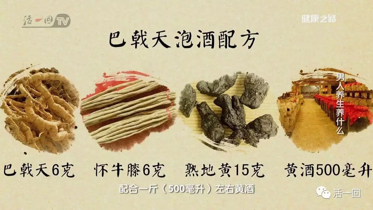 视频种植金樱子技术要点_金樱子种植技术视频_种植金樱子的经济效益