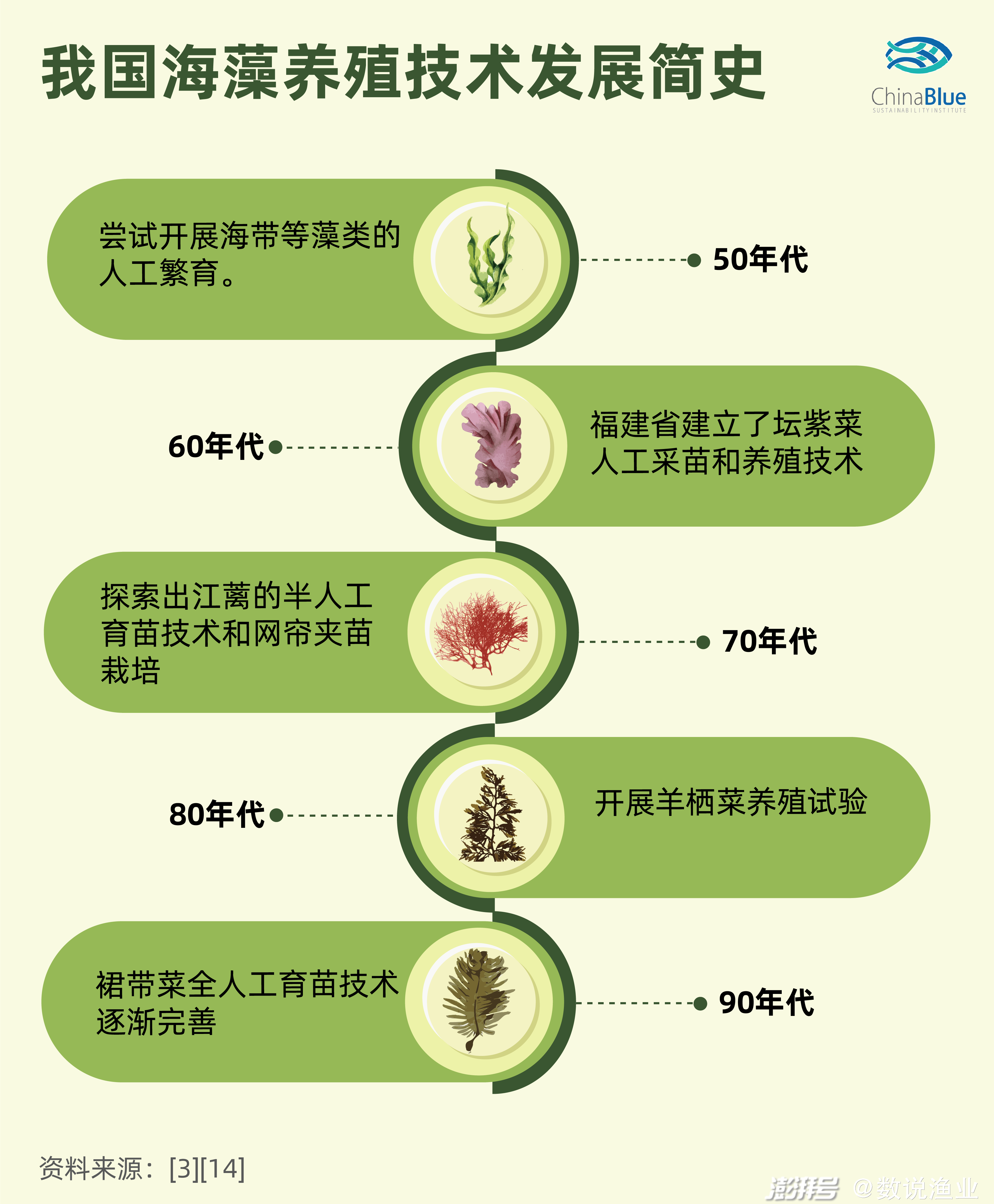 致富养殖松茸怎么样_松茸养殖致富_养殖松茸