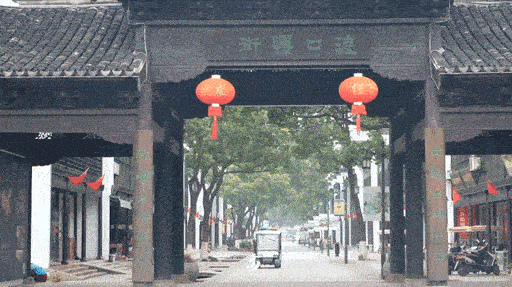 张家港枇杷采摘基地_致富经张家港枇杷_张家港双山枇杷