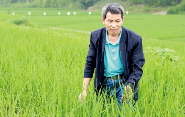 平菇种植市场前景如何_平菇种植交流群_滨州种植平菇致富新闻报道