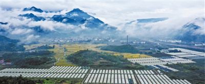 平菇种植交流群_滨州种植平菇致富新闻报道_2020平菇种植前景