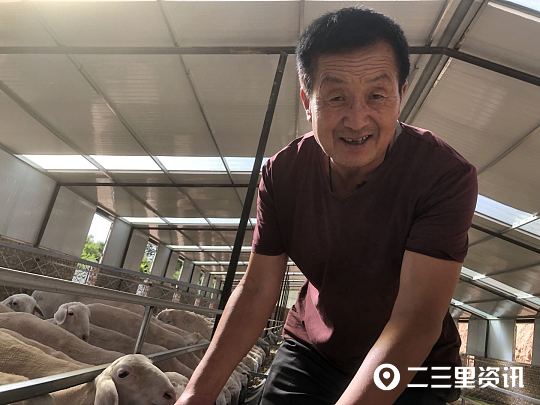 秸杆养殖致富项目_秸秆养畜_致富养殖秸杆项目招标