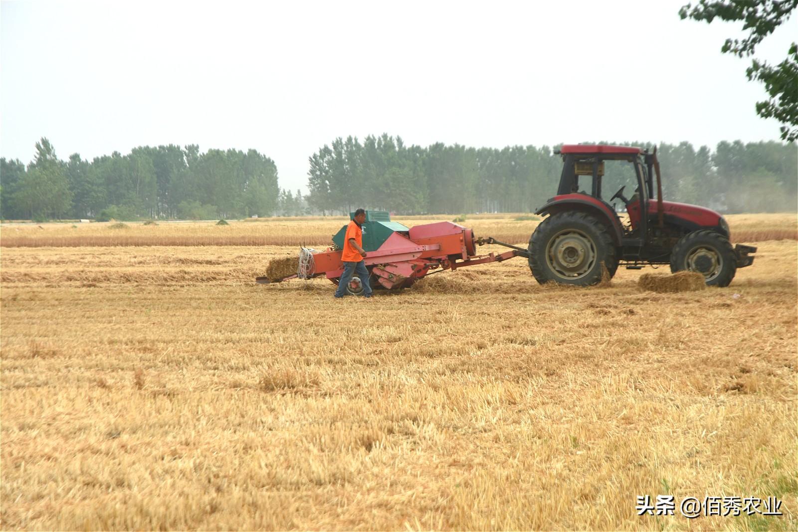 秸杆养殖致富项目_致富养殖秸杆项目招标_秸秆养畜