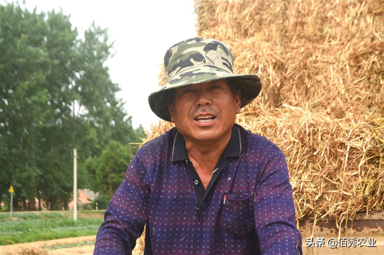 致富养殖秸杆项目招标_秸杆养殖致富项目_秸秆养畜