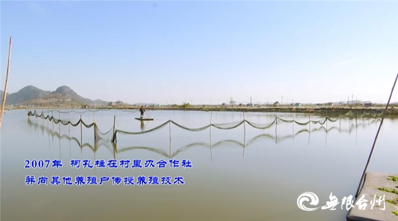 致富经花勃养青蟹_致富经花勃养青蟹_致富经花勃养青蟹
