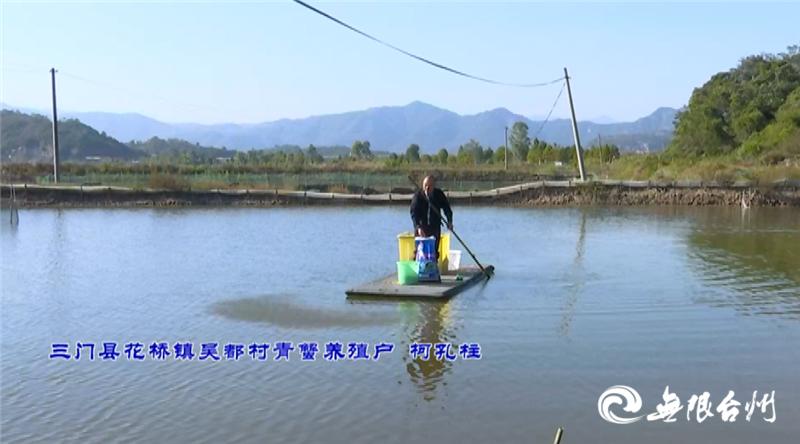 致富经花勃养青蟹_致富经花勃养青蟹_致富经花勃养青蟹