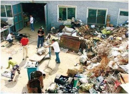 致富养殖什么最赚钱_致富养殖冷门项目有哪些_养殖冷门致富项目