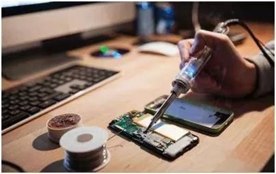 致富养殖什么最赚钱_养殖冷门致富项目_致富养殖冷门项目有哪些
