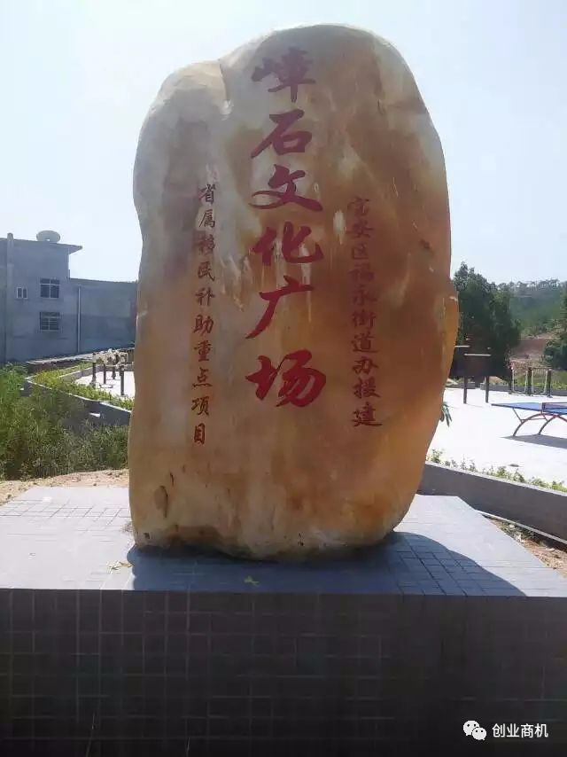 致富养殖冷门项目有哪些_致富养殖好项目_养殖冷门致富项目