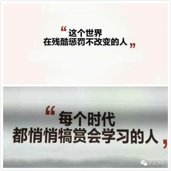致富养殖冷门项目有哪些_致富养殖好项目_养殖冷门致富项目