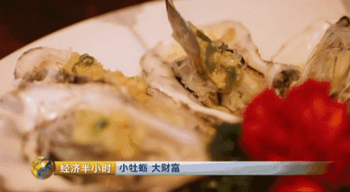 养螃蟹赚钱吗需要投资大不大_致富经小伙养螃蟹_养螃蟹赚钱