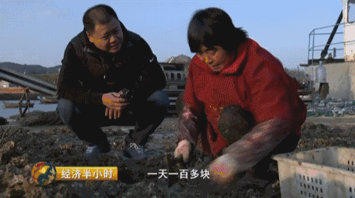 养螃蟹赚钱吗需要投资大不大_致富经小伙养螃蟹_养螃蟹赚钱