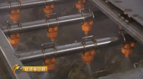 养螃蟹赚钱吗需要投资大不大_养螃蟹赚钱_致富经小伙养螃蟹