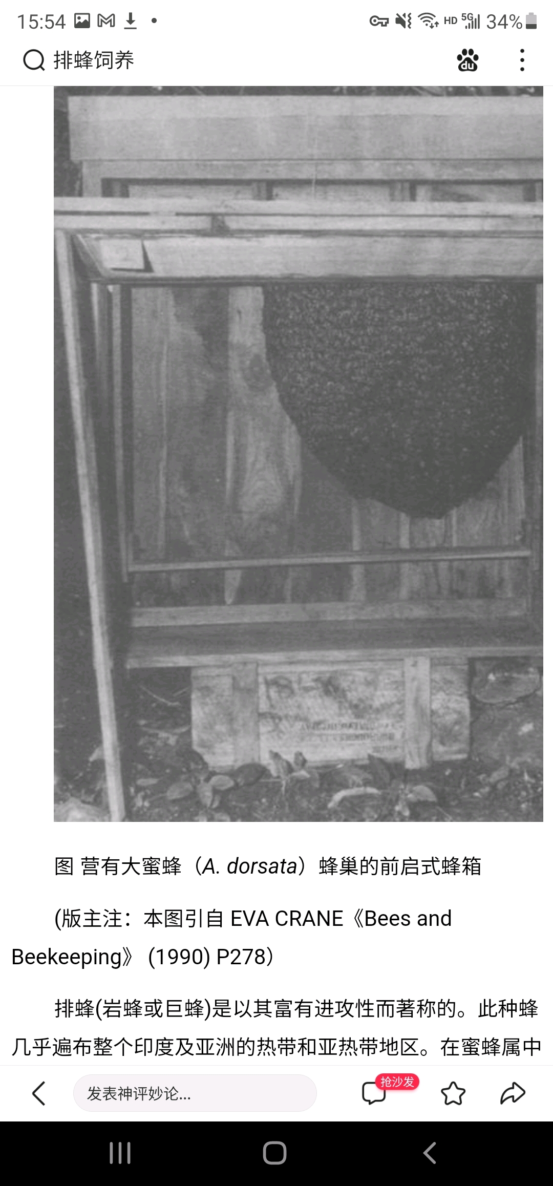 云南大黑蜂养殖技术_云南土蜂养殖视频技术_云南野蜂养殖视频