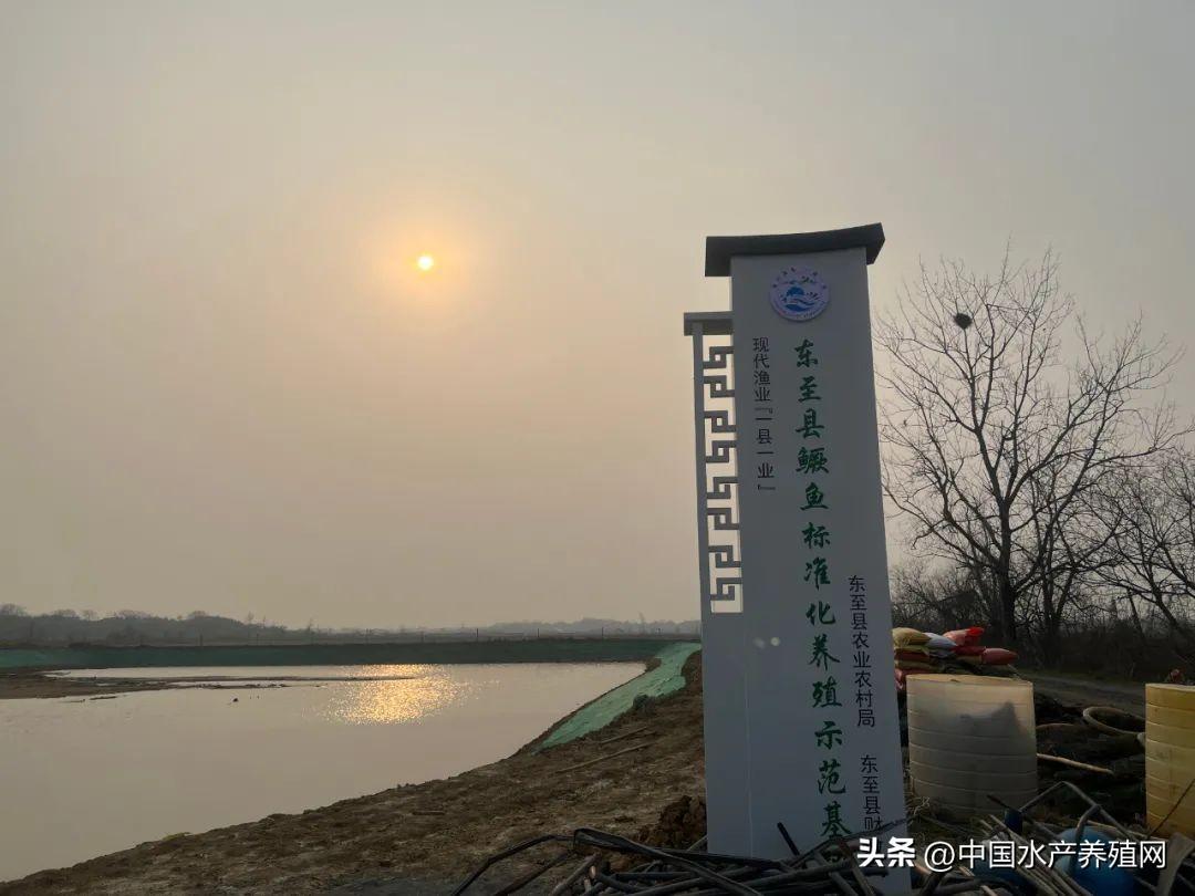 鳜鱼养殖最新技术流水槽_养殖水产鳜鱼技术要点_鳜鱼水产养殖技术