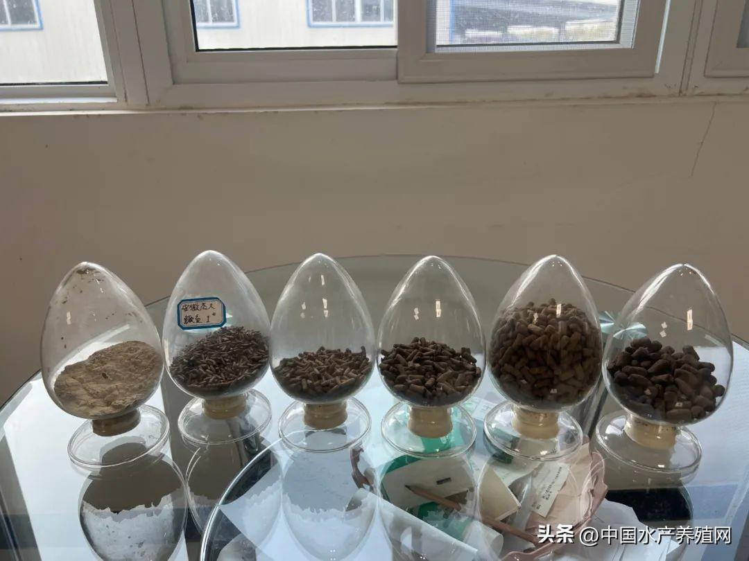 养殖水产鳜鱼技术要点_鳜鱼水产养殖技术_鳜鱼养殖最新技术流水槽