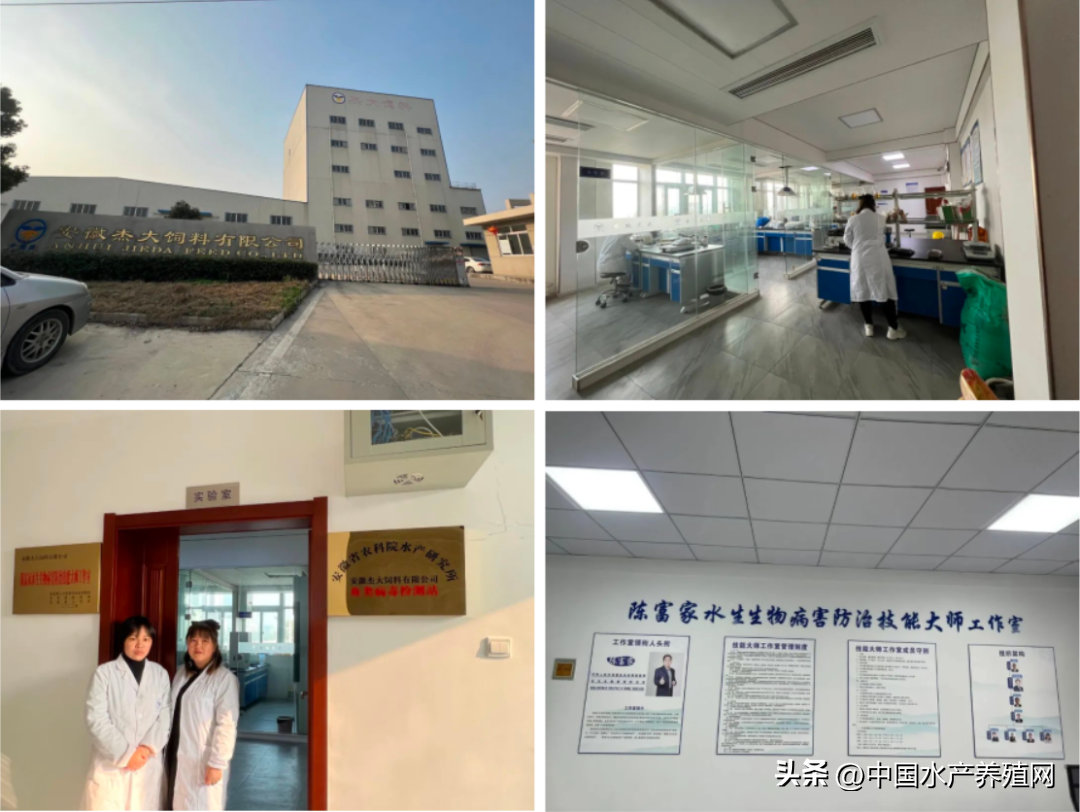 养殖水产鳜鱼技术要点_鳜鱼水产养殖技术_鳜鱼养殖最新技术流水槽