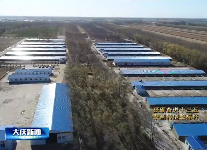养殖奶羊的风险和利润_致富经奶羊养殖方面的视频_致富经奶羊养殖