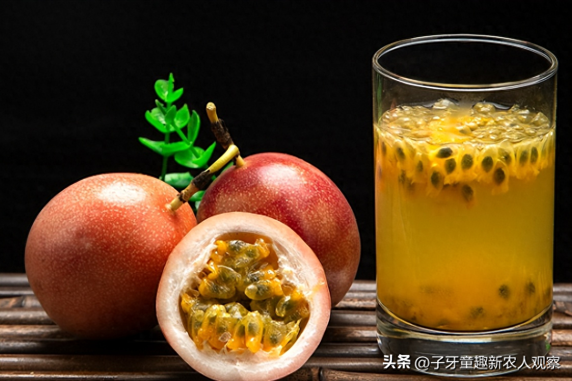 鸡粪怎么赚钱_致富经鸡粪年赚百万_鸡粪生意好不好做