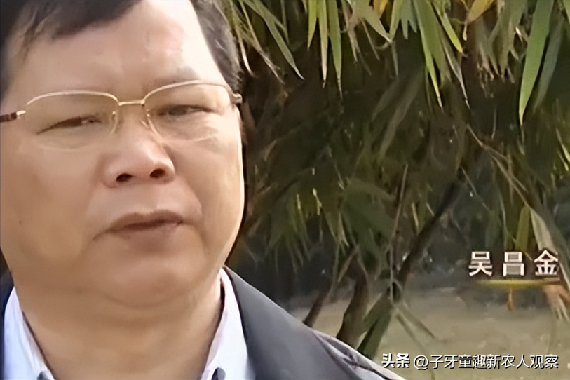 致富经鸡粪年赚百万_鸡粪怎么赚钱_鸡粪生意好不好做