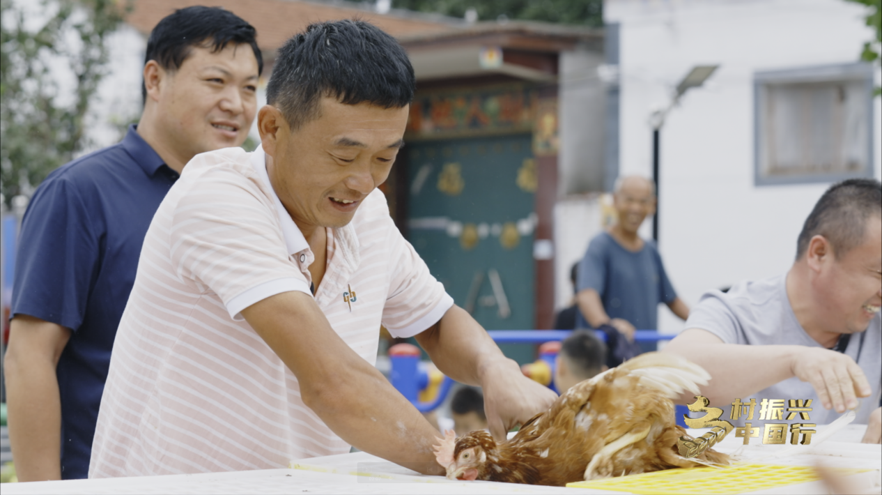 致富经黄瓜种植_致富黄瓜种植视频_黄瓜种植效益