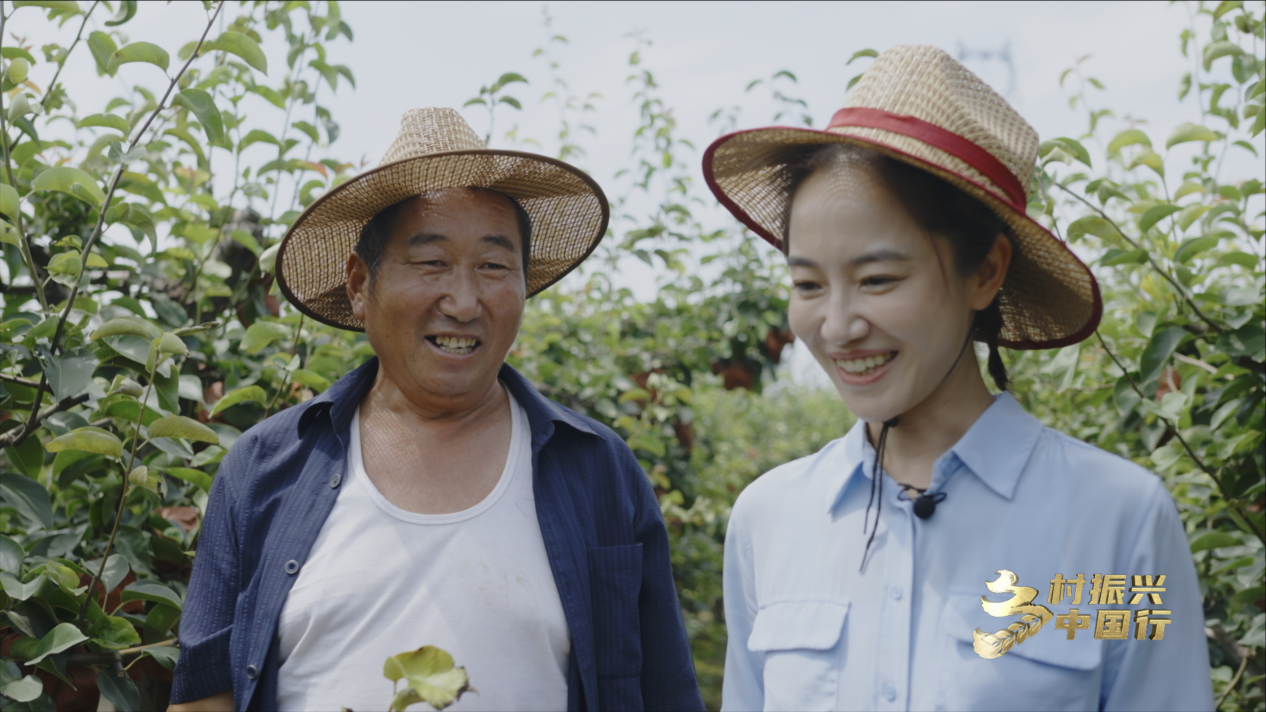 黄瓜种植效益_致富经黄瓜种植_致富黄瓜种植视频