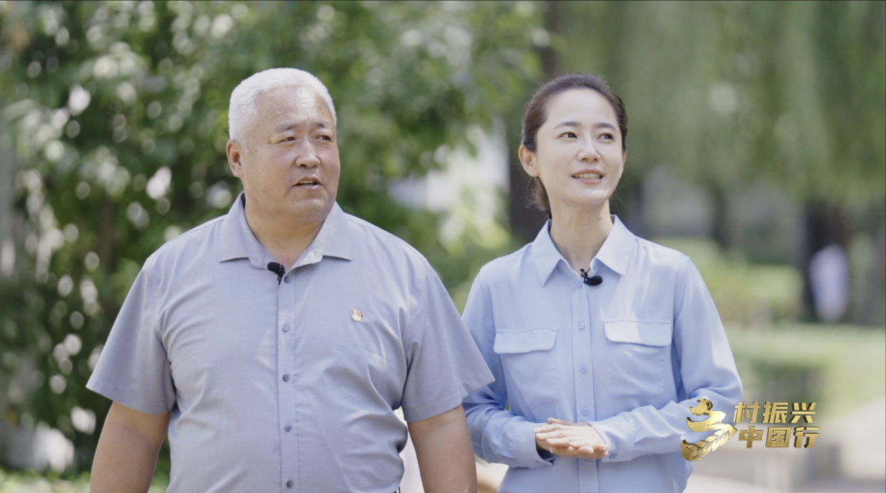 致富经黄瓜种植_致富黄瓜种植视频_黄瓜种植效益