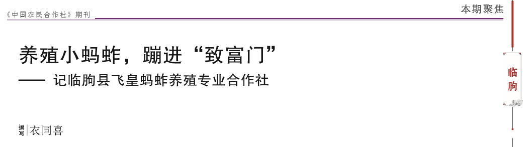 养殖小蚂蚱，蹦进“致富门” —— 记临朐县飞皇蚂蚱养殖专业合作社