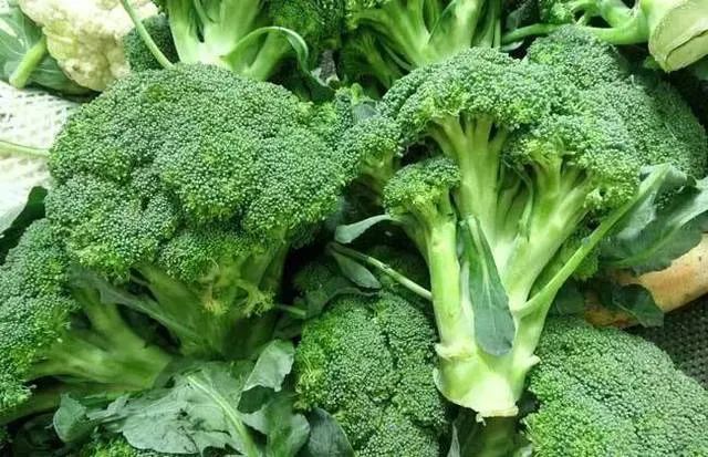 章丘大葱怎么栽_章丘大葱种植葱苗视频_章丘大葱种植技术视频
