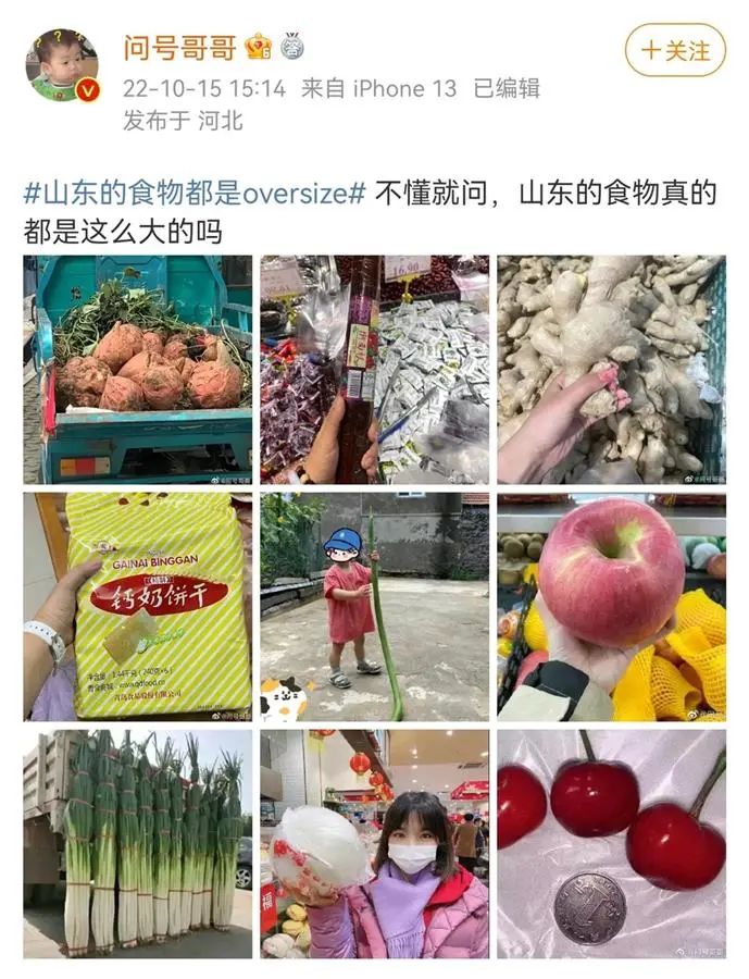 章丘大葱种植技术视频_章丘大葱种子怎么种_章丘大葱种法