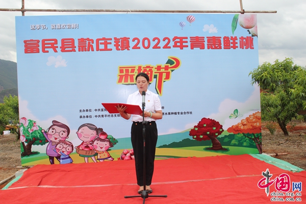 致富经桃子视频_视频致富桃子直播_致富经桃