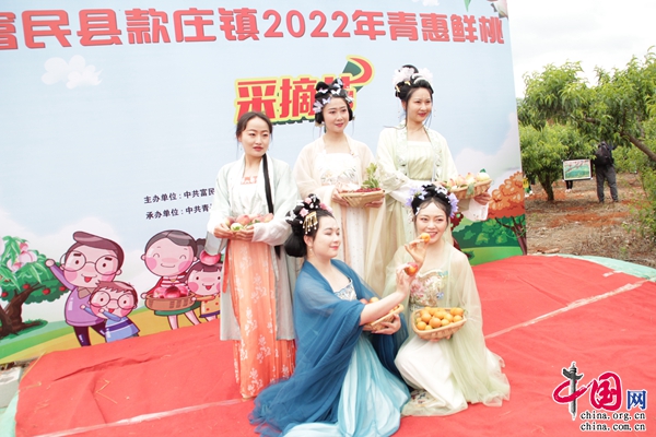 致富经桃子视频_视频致富桃子直播_致富经桃