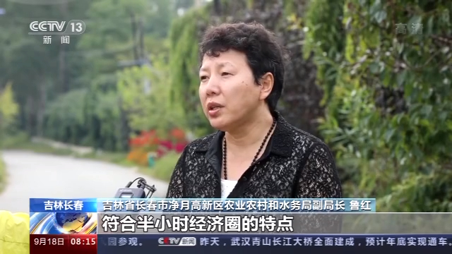安庆种植什么农作物_安庆种植致富_安庆种植结构