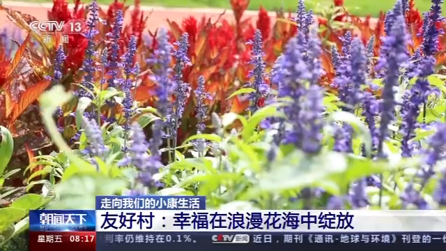 安庆种植结构_安庆种植致富_安庆种植什么农作物