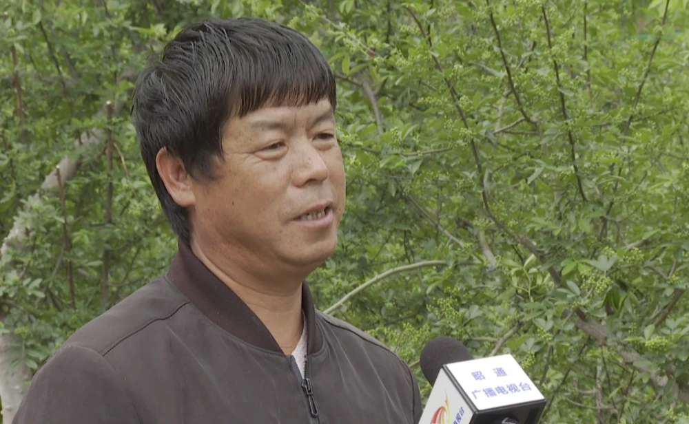安庆种植什么农作物_安庆种植结构_安庆种植致富
