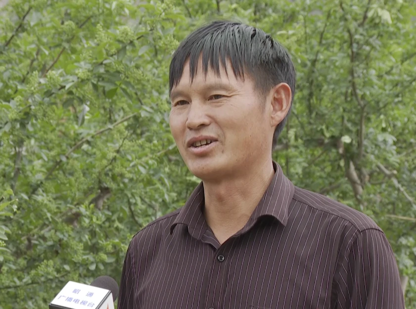 安庆种植致富_安庆种植结构_安庆种植什么农作物