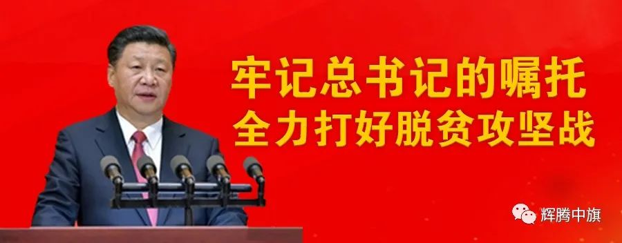 察右中旗：栽植“致富树”拓宽农牧民致富新路子