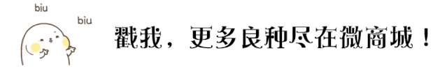蔬菜种苗网_蔬菜种植技术网_蔬菜种植网蔬菜种植技术