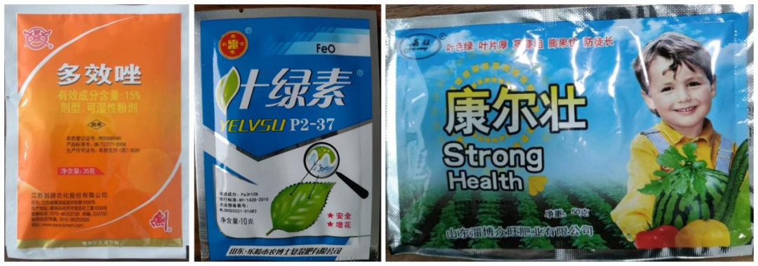 蔬菜种植技术网_蔬菜种植技术大全app_蔬菜种植网站下载安装